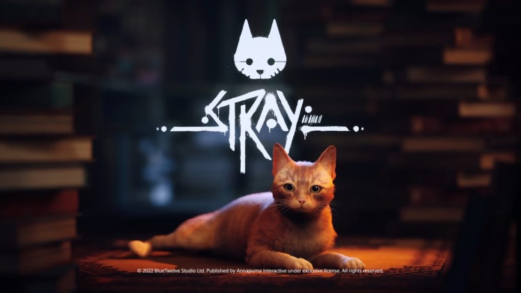 Stray Review Roundup