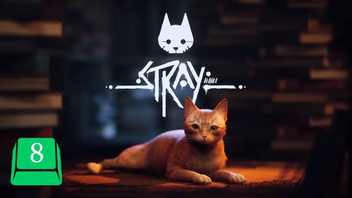 Stray Review Live in the Meowment feature score 8
